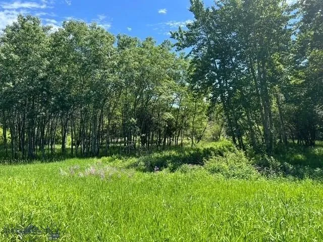 1918 & Tbd Spring Creek Drive, Bozeman, Montan, Bozeman, Montana 59715, 4 Bedrooms Bedrooms, ,2 BathroomsBathrooms,Residential,For Sale,1918 & Tbd Spring Creek Drive, Bozeman, Montan,0,409414