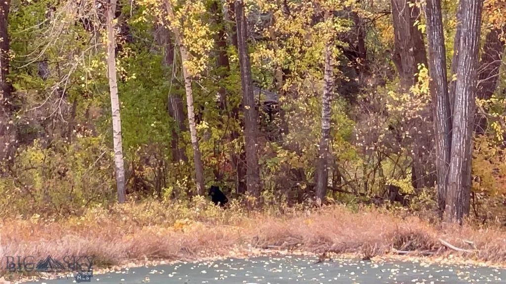 1918 & Tbd Spring Creek Drive, Bozeman, Montan, Bozeman, Montana 59715, 4 Bedrooms Bedrooms, ,2 BathroomsBathrooms,Residential,For Sale,1918 & Tbd Spring Creek Drive, Bozeman, Montan,0,409414