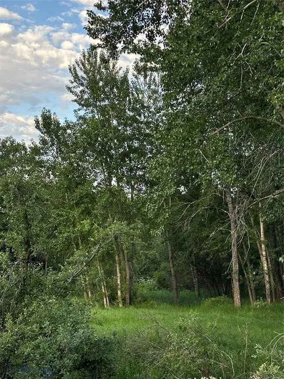 1918 & Tbd Spring Creek Drive, Bozeman, Montan, Bozeman, Montana 59715, 4 Bedrooms Bedrooms, ,2 BathroomsBathrooms,Residential,For Sale,1918 & Tbd Spring Creek Drive, Bozeman, Montan,0,409414