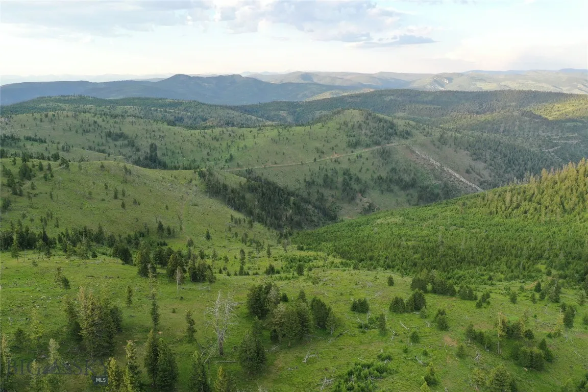 1 Tract, Drummond, Montana 59832, Drummond, Montana 59832, ,Land,For Sale,1 Tract, Drummond, Montana 59832,0,409417