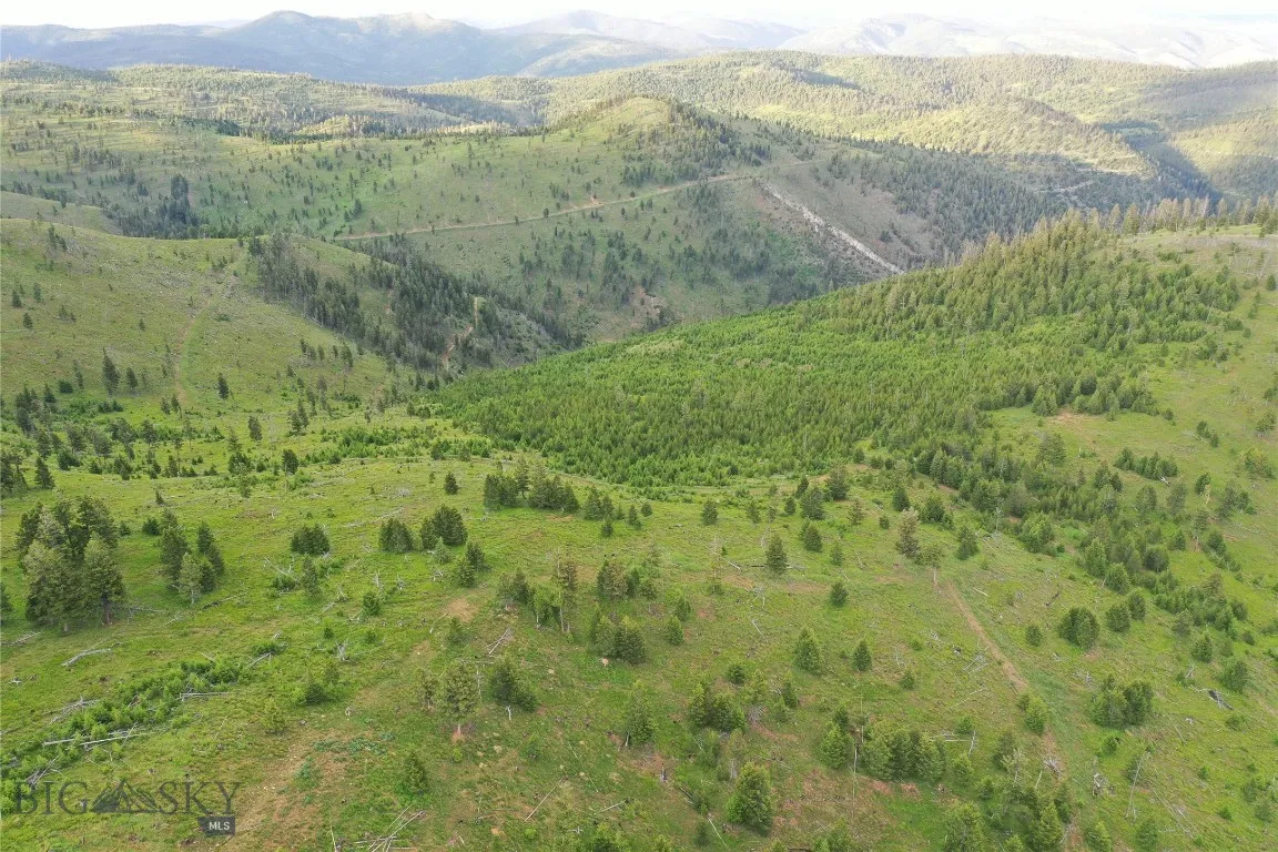 1 Tract, Drummond, Montana 59832, Drummond, Montana 59832, ,Land,For Sale,1 Tract, Drummond, Montana 59832,0,409417