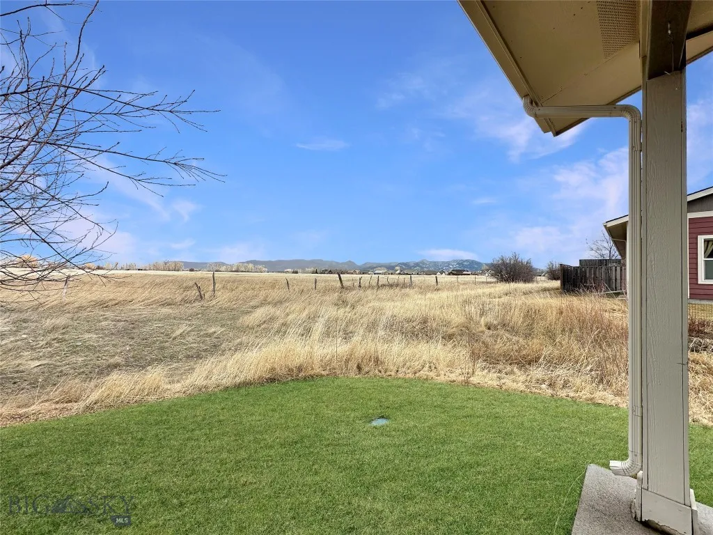 Back patio view