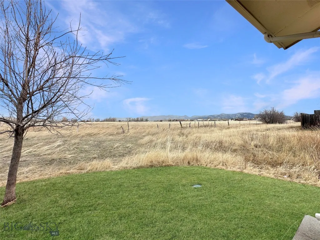 Lawn, trees, underground sprinkler
