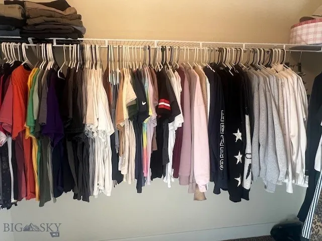 Primary Room Walk-In Closet