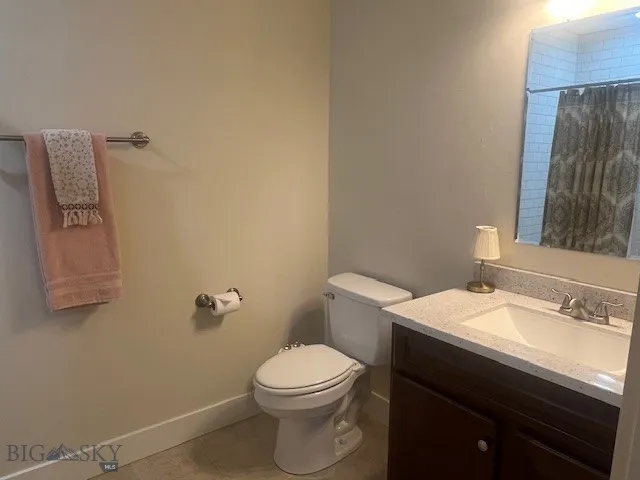 Lower Level Bathroom