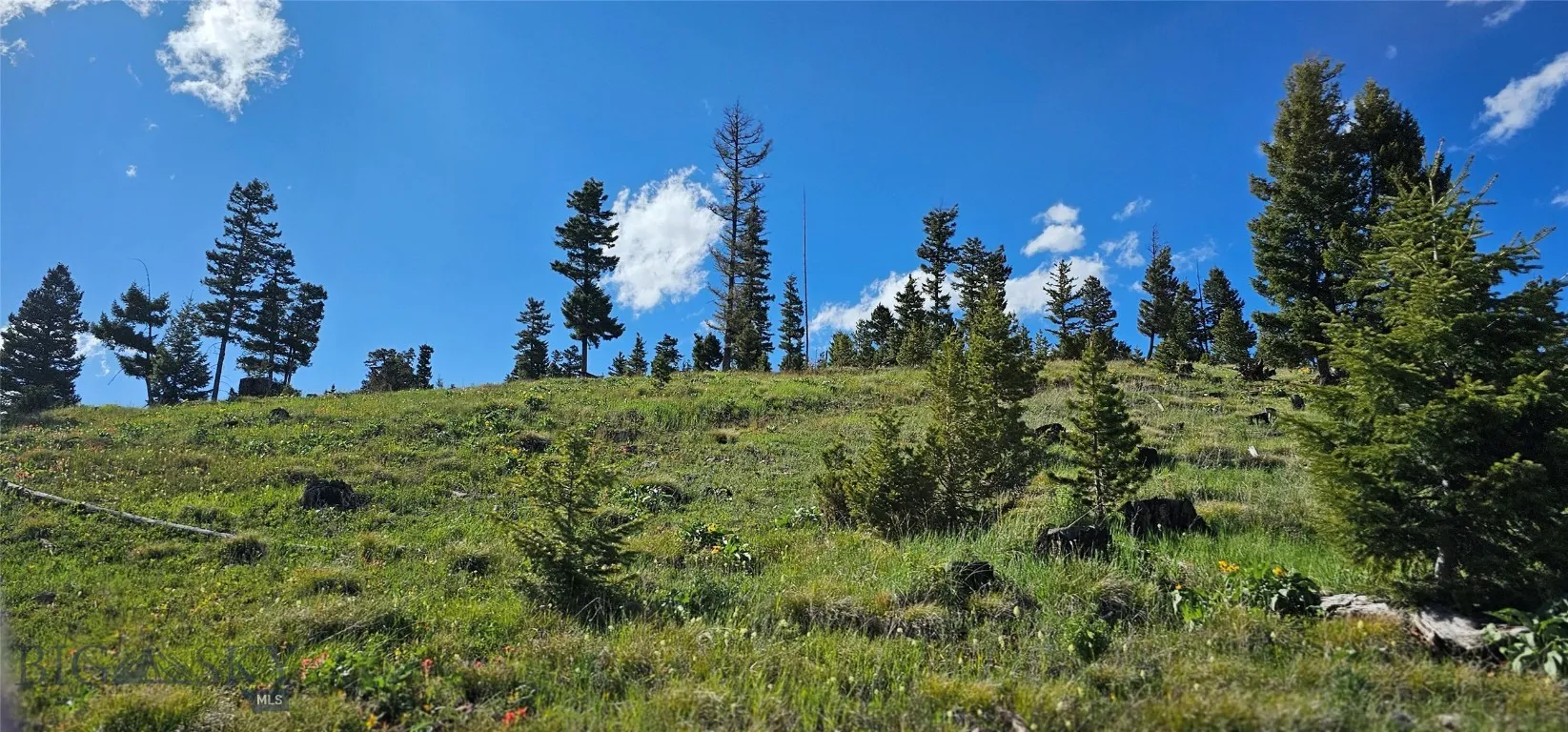 4 Tract Garnet Range, Drummond, Montana 59832, Drummond, Montana 59832, ,Land,For Sale,4 Tract Garnet Range, Drummond, Montana 59832,0,409420