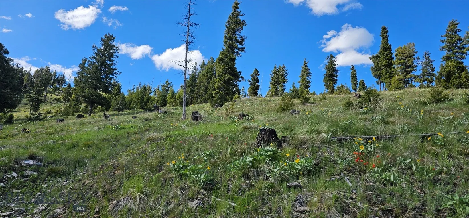 4 Tract Garnet Range, Drummond, Montana 59832, Drummond, Montana 59832, ,Land,For Sale,4 Tract Garnet Range, Drummond, Montana 59832,0,409420