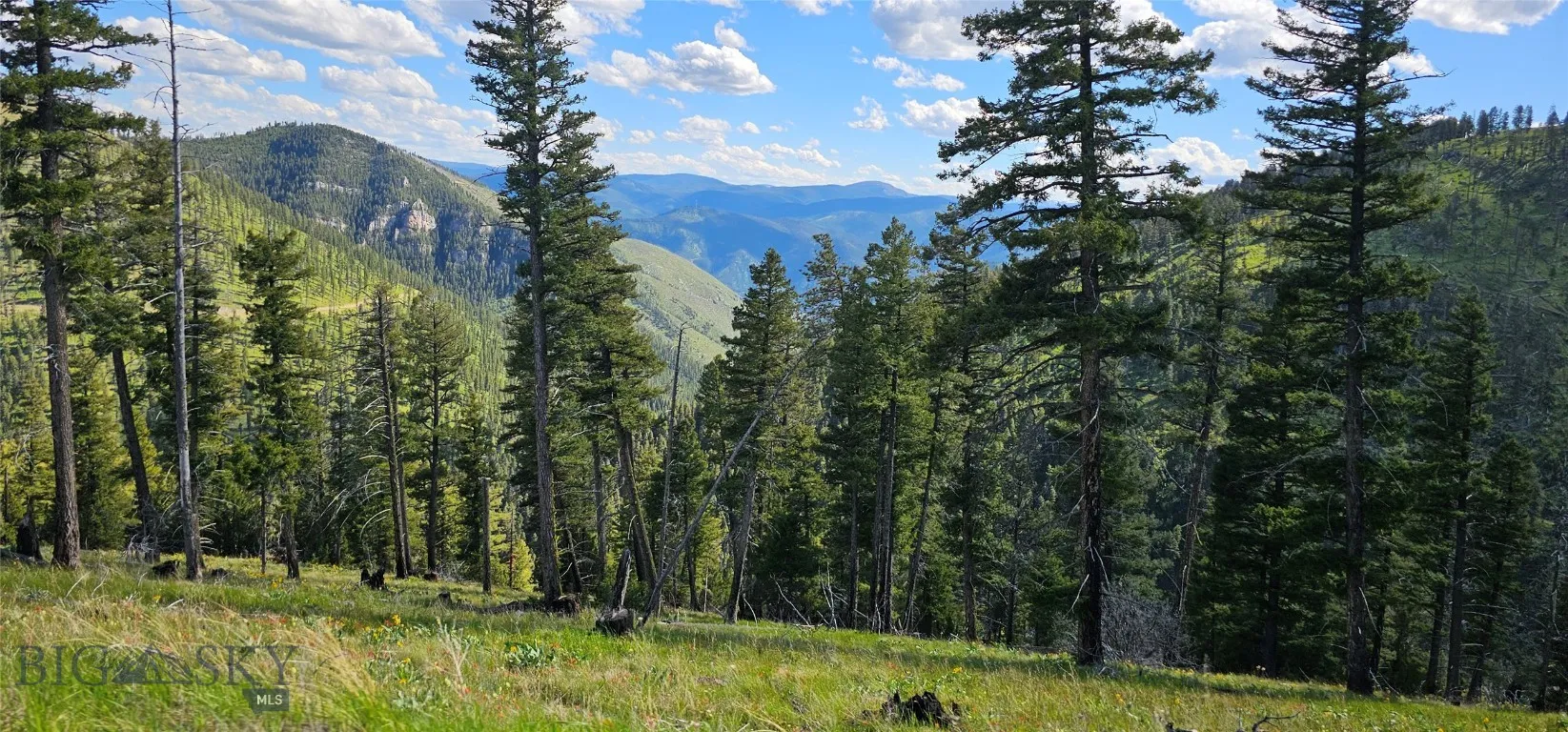 4 Tract Garnet Range, Drummond, Montana 59832, Drummond, Montana 59832, ,Land,For Sale,4 Tract Garnet Range, Drummond, Montana 59832,0,409420