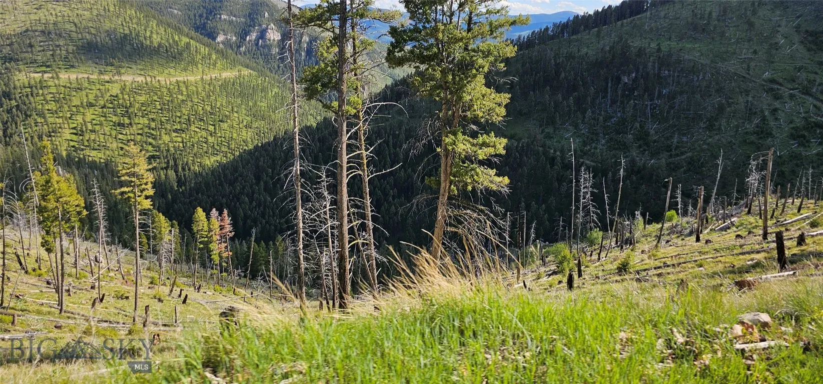 4 Tract Garnet Range, Drummond, Montana 59832, Drummond, Montana 59832, ,Land,For Sale,4 Tract Garnet Range, Drummond, Montana 59832,0,409420