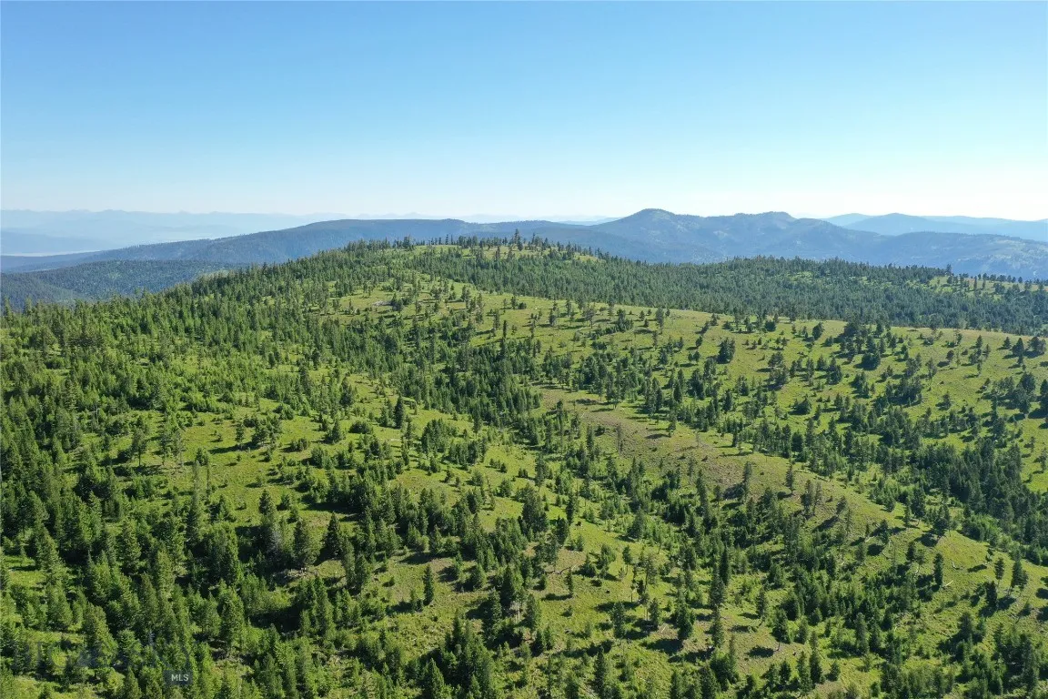 8 Tract, Drummond, Montana 59832, Drummond, Montana 59832, ,Land,For Sale,8 Tract, Drummond, Montana 59832,0,409427