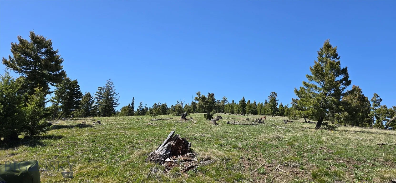 9 Tract, Drummond, Montana 59832, Drummond, Montana 59832, ,Land,For Sale,9 Tract, Drummond, Montana 59832,0,409429