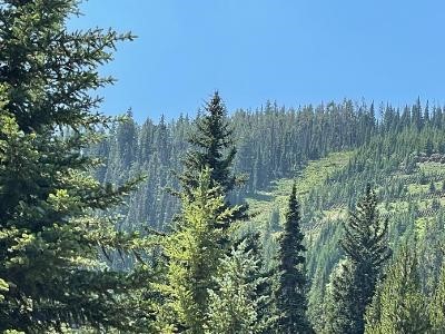 28 LOW DOG Road, Big Sky, Montana 59716, Big Sky, Montana 59716, ,Land,For Sale,28 LOW DOG Road, Big Sky, Montana 59716,0,360726