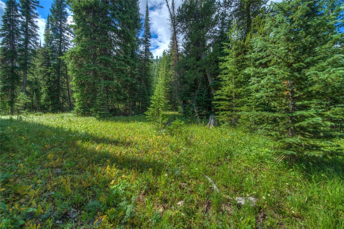 28 LOW DOG Road, Big Sky, Montana 59716, Big Sky, Montana 59716, ,Land,For Sale,28 LOW DOG Road, Big Sky, Montana 59716,0,360726