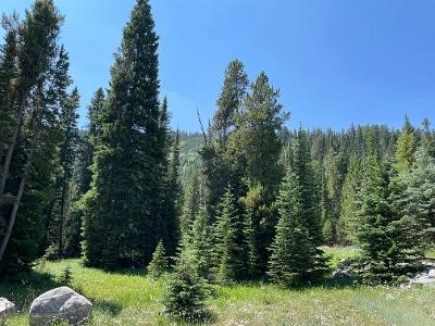 28 LOW DOG Road, Big Sky, Montana 59716, Big Sky, Montana 59716, ,Land,For Sale,28 LOW DOG Road, Big Sky, Montana 59716,0,360726