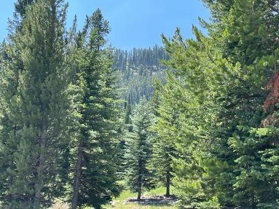 28 LOW DOG Road, Big Sky, Montana 59716, Big Sky, Montana 59716, ,Land,For Sale,28 LOW DOG Road, Big Sky, Montana 59716,0,360726