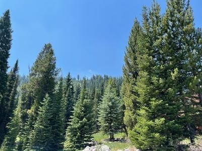 28 LOW DOG Road, Big Sky, Montana 59716, Big Sky, Montana 59716, ,Land,For Sale,28 LOW DOG Road, Big Sky, Montana 59716,0,360726