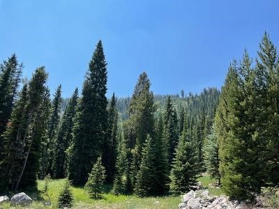 28 Low Dog Road
Cascade Blk 6 Lot 356