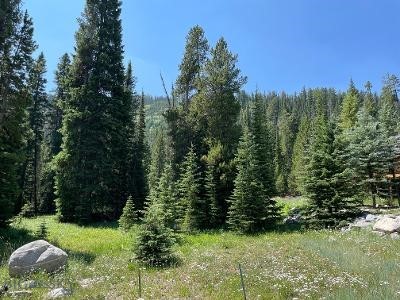 28 LOW DOG Road, Big Sky, Montana 59716, Big Sky, Montana 59716, ,Land,For Sale,28 LOW DOG Road, Big Sky, Montana 59716,0,360726