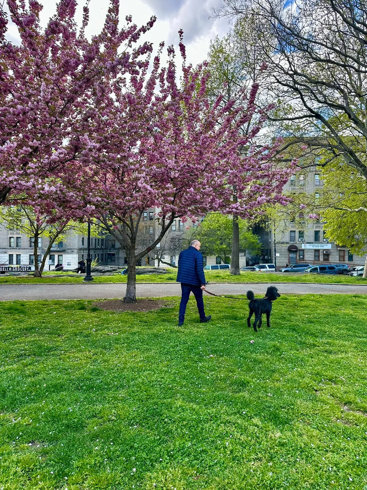 299 East 161st Street, Newyorkcity, New York 10451, 1 Chambre Chambres, 3 Chambres Chambres,1 Salle de bainsSalle de bain,Residential Lease,A Louer,161st,RLS10973047 299 East 161st Street, Newyorkcity, New York 10451, 1 Chambre Chambres, 3 Chambres Chambres,1 Salle de bainsSalle de bain,Residential Lease,A Louer,161st,RLS10973047