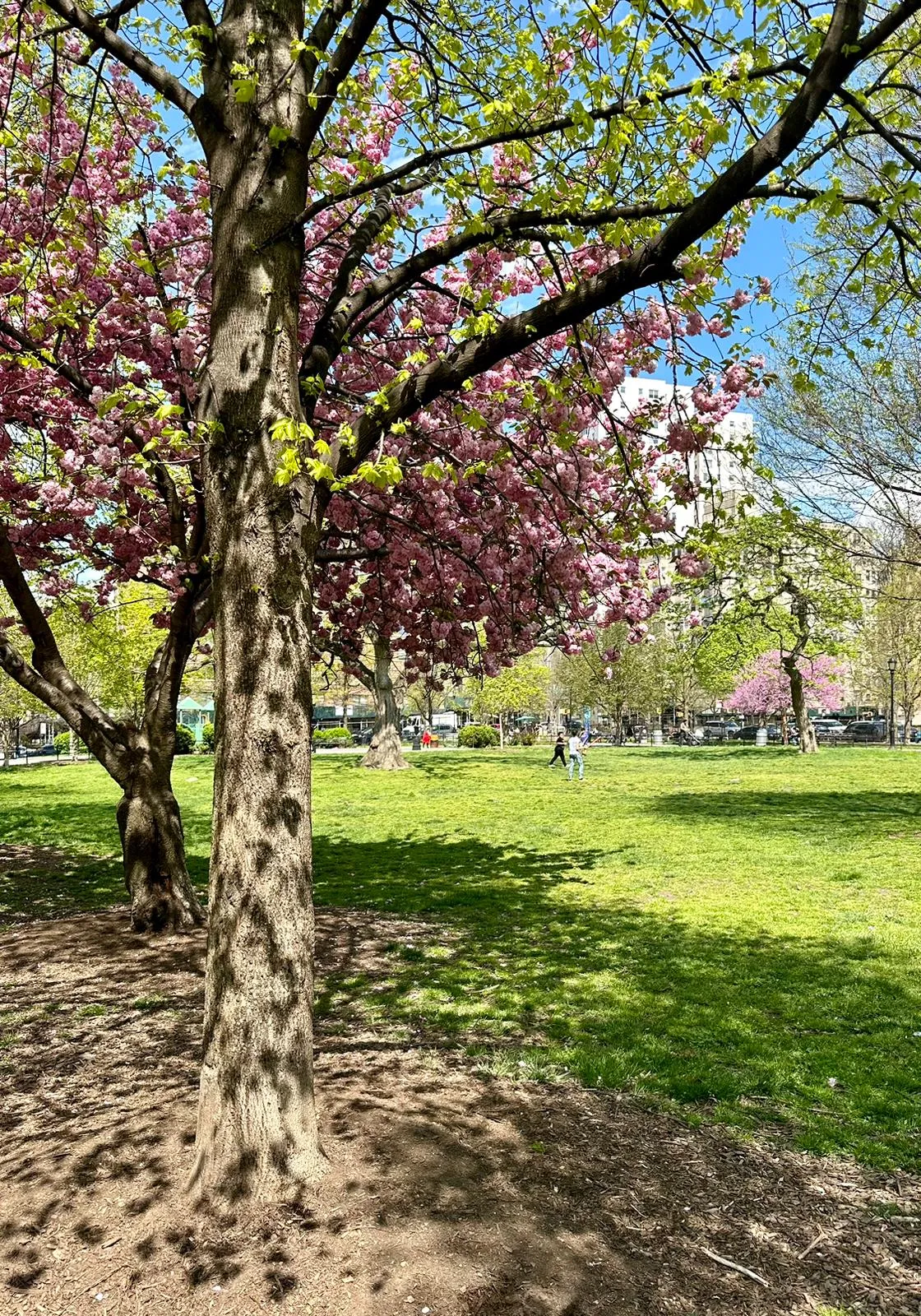 299 East 161st Street, Newyorkcity, New York 10451, 2 Rooms Rooms,1 BathroomBathrooms,Residential Lease,For Rent,161st,RLS10973045 299 East 161st Street, Newyorkcity, New York 10451, 2 Rooms Rooms,1 BathroomBathrooms,Residential Lease,For Rent,161st,RLS10973045