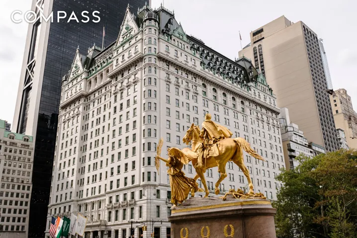 1 Central Park South, Newyorkcity, New York 10019, 8 Bedrooms Bedrooms, 18 Rooms Rooms,8 BathroomsBathrooms,Residential,For Sale,Central,RLS10984123