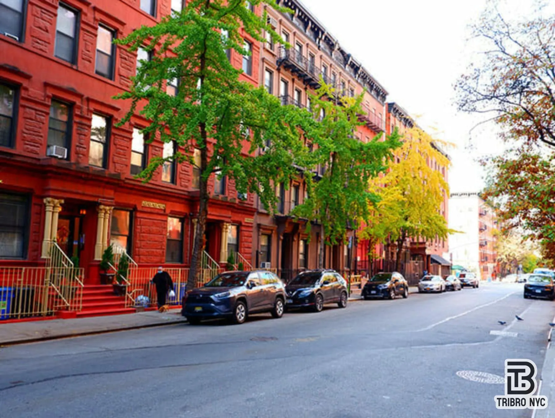 513 W 48th Street 2re, New York City, New York 10036, 1 Bedroom Bedrooms, 3 Rooms Rooms,1 BathroomBathrooms,Residential Lease,For Rent,48th,RLS20022804 513 W 48th Street 2re, New York City, New York 10036, 1 Bedroom Bedrooms, 3 Rooms Rooms,1 BathroomBathrooms,Residential Lease,For Rent,48th,RLS20022804