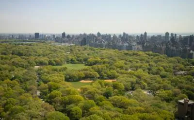 Central Park View
