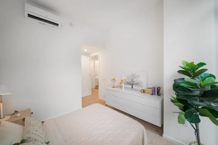 12 Halsey Street, New York City, NY 11216