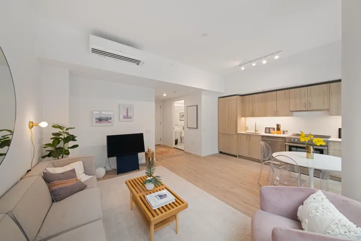 12 Halsey Street, New York City, NY 11216