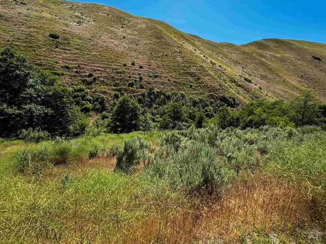 Lot 5, Parcel 1 Dennett Creek Rd, Weiser Id 83672
