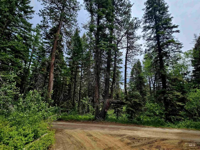 Tbd Eagle Tr., Donnelly Id 83615