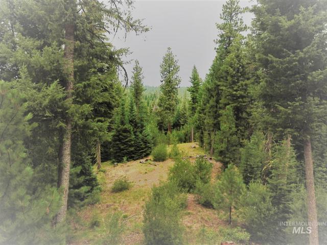 TBD Lot 55 Price Loop, Cascade ID 83611