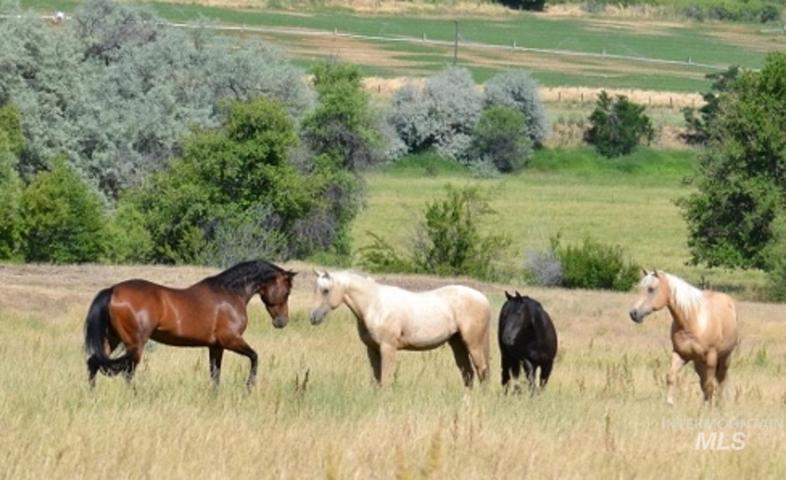 1823 Jones Road, Weiser ID 83672