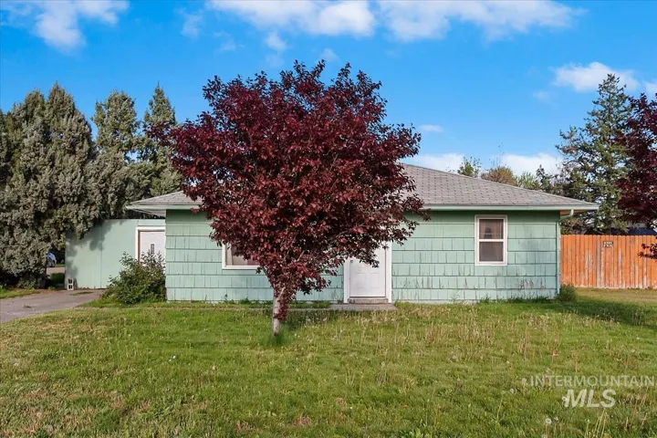 Front exterior featuring green shingle siding and a prominent deciduous tree