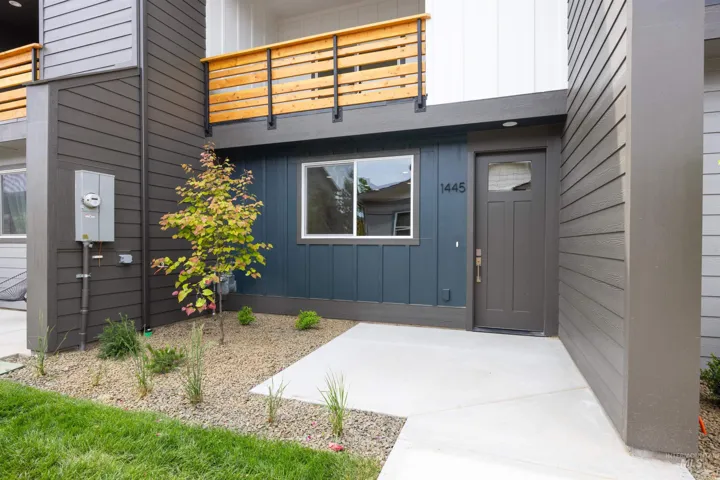 Modern exterior featuring multi-toned siding, a concrete walkway, and a landscaped entry with a young tree