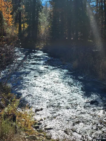 Tbd Trinity Creek Rd, Featherville, Idaho 83647