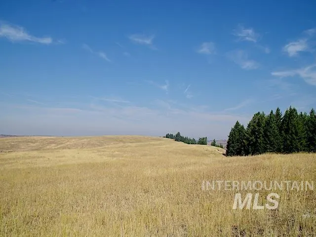 Tbd Ditch Creek Road, Council, Idaho 83612