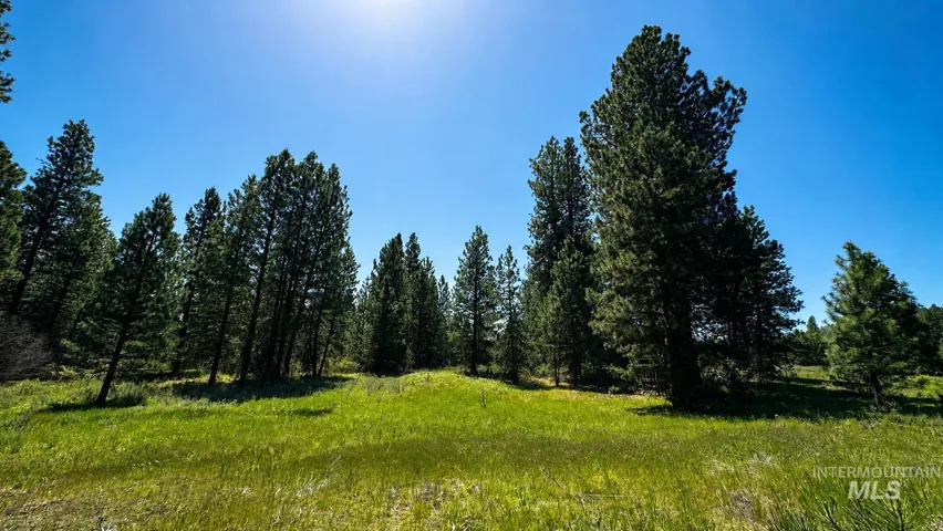 85 Nelsen Ave, Idaho City, Idaho 83631