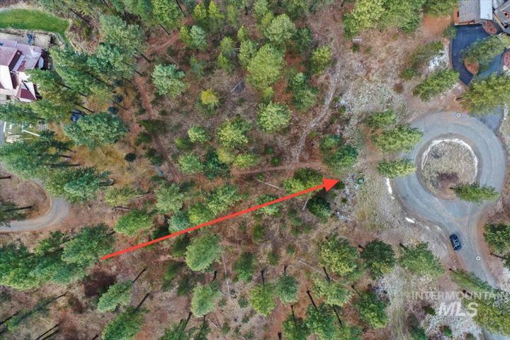 51 Vernon Court, McCall ID 83638