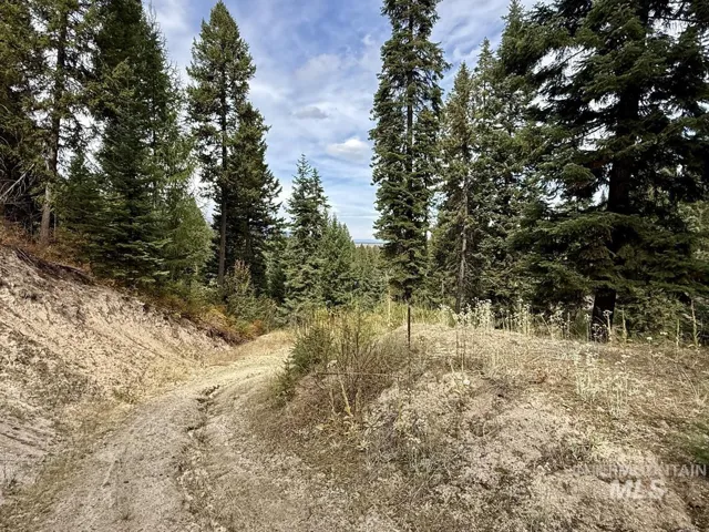 10 Crocus Court, Cascade, Idaho 83611