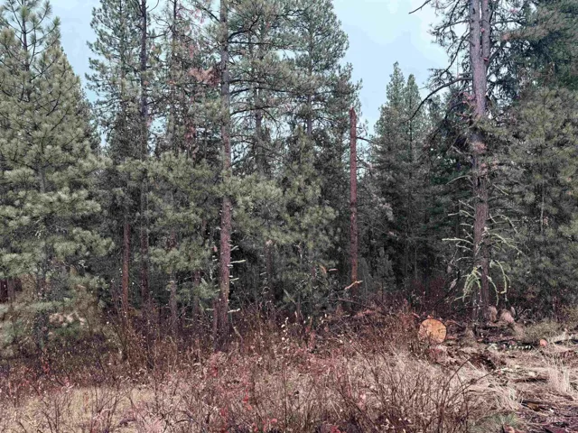 Tbd Idaho City- Lot 24, Idaho City, Idaho 83631