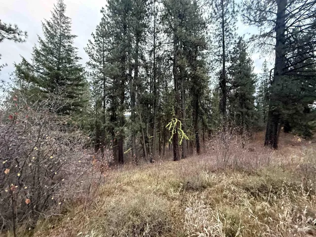 Tbd Idaho City- Lot 24, Idaho City, Idaho 83631