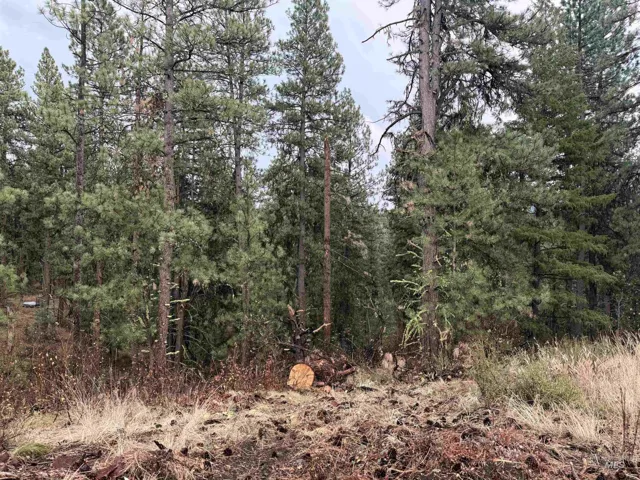 Tbd Idaho City- Lot 24, Idaho City, Idaho 83631