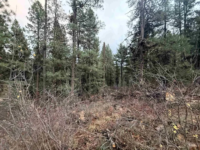 Tbd Idaho City- Lot 24, Idaho City, Idaho 83631