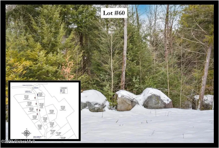 60 Carriage Road, Chester, New York 12817