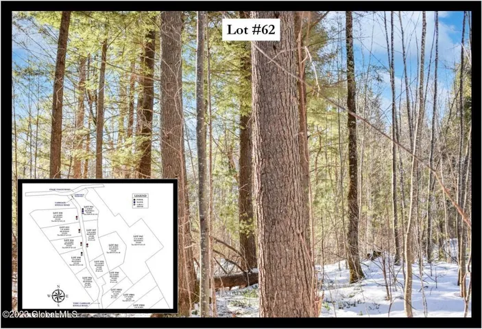 62 Carriage Road, Chester, New York 12817