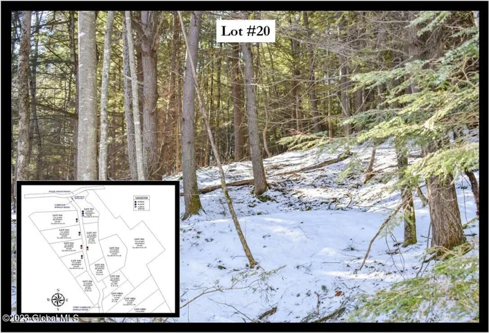 20 Carriage Road, Chester, New York 12817