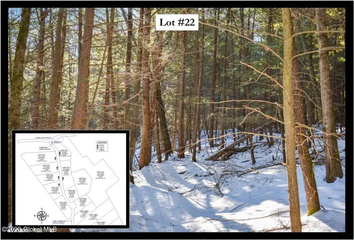 22 Carriage Road, Chester, New York 12817
