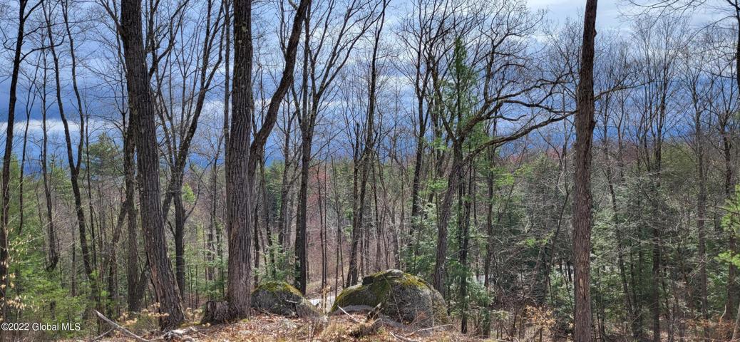 L300 Clendon Brook Road, ADIRONDACK PK, Queensbury, NY 12804
