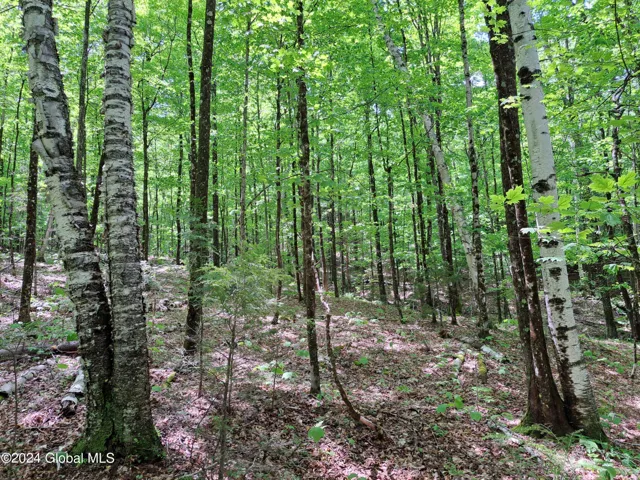 L1.1 Route 28, Johnsburg, New York 12853